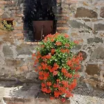 Il Truffarello Alojamento de Turismo Rural *