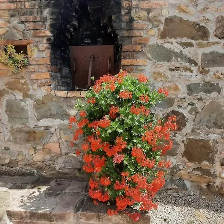 Agriturismo Il Truffarello Farm stay *