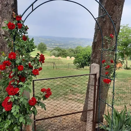Agriturismo Il Truffarello Farm stay