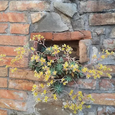 Agriturismo Il Truffarello Farm stay *