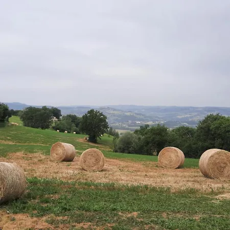 Il Truffarello