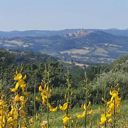 Il Truffarello *