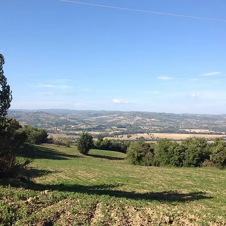Il Truffarello
