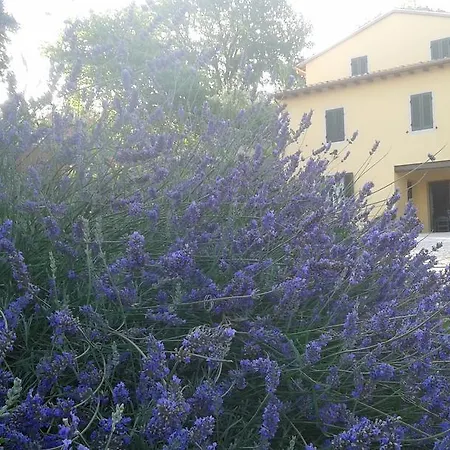 Farm stay Agriturismo Il Truffarello