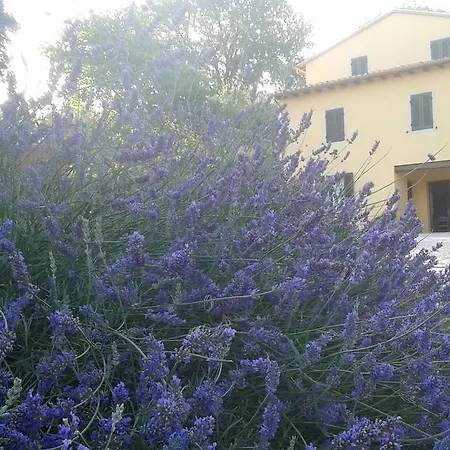 Agroturismo Il Truffarello