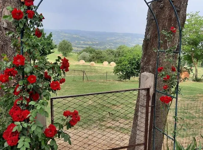 Il Truffarello Alloggio per agriturismo