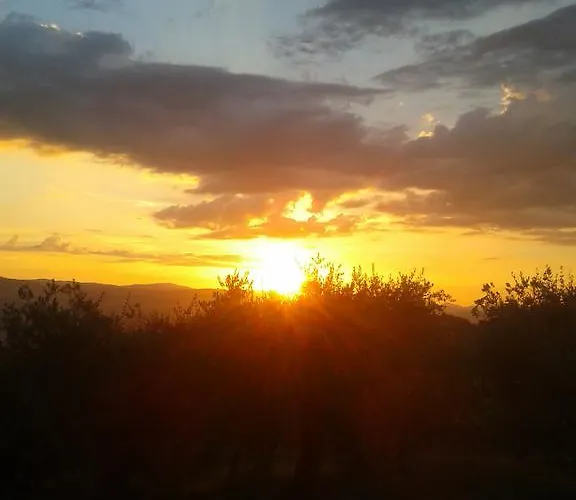 Alloggio per agriturismo Il Truffarello Todi