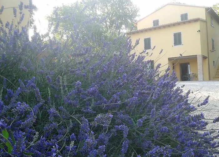 Alloggio per agriturismo Il Truffarello